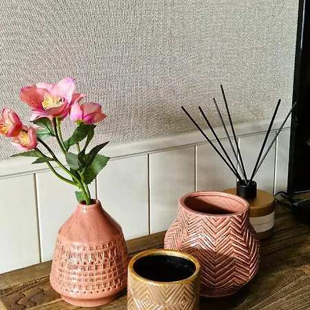 Les Quintanes ベッド・アンド・ブレックファスト Suaux