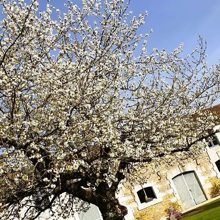 Les Quintanes ベッド・アンド・ブレックファスト 3*