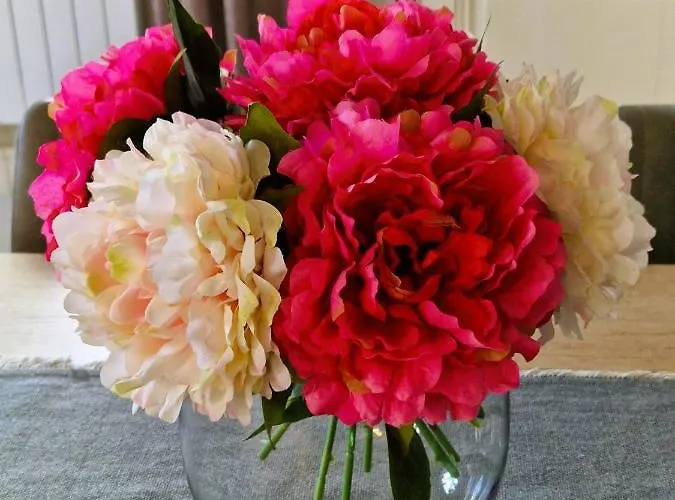 Les Quintanes Bed and breakfast